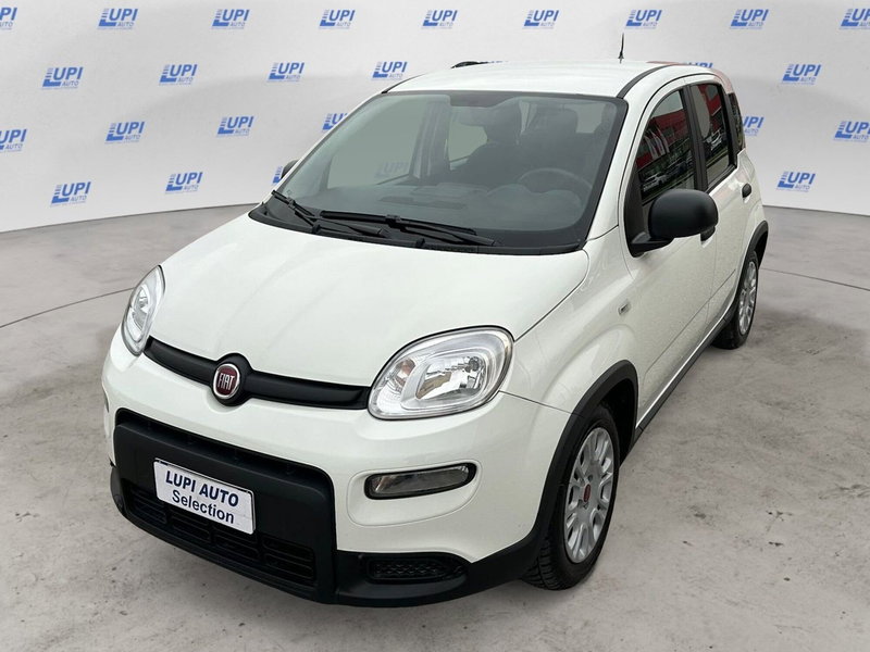 Fiat Panda usata a Pistoia