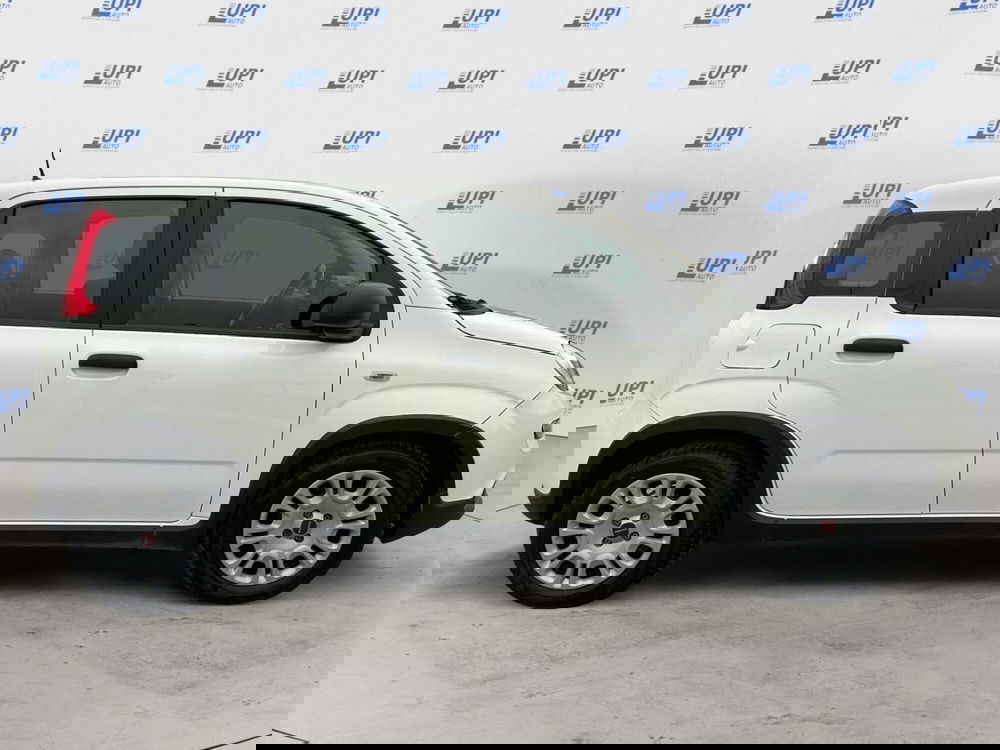 Fiat Panda usata a Pistoia (2)