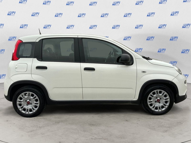 Fiat Panda usata a Pistoia (2)