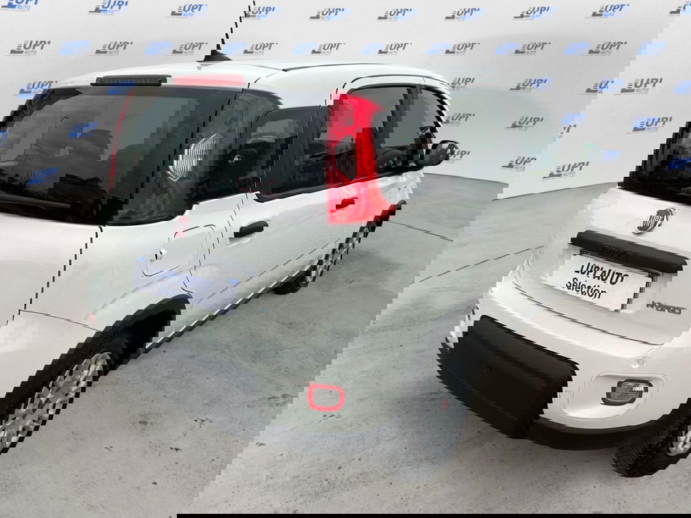 Fiat Panda usata a Pistoia (3)