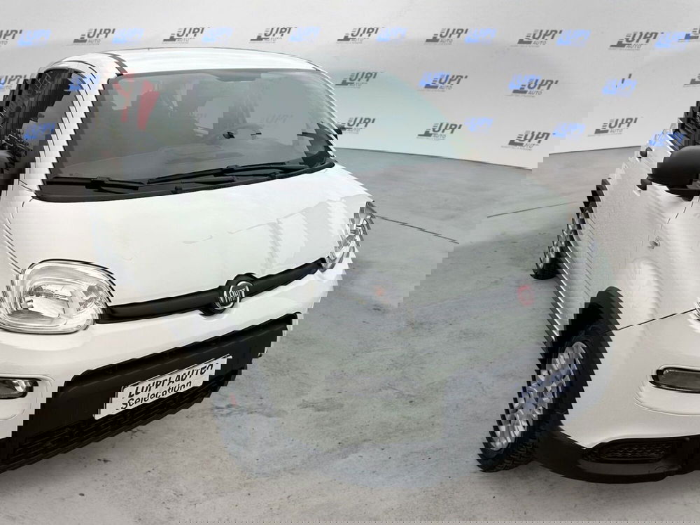 Fiat Panda usata a Pistoia (4)