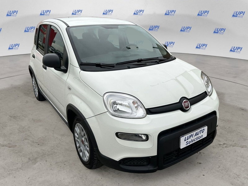 Fiat Panda usata a Pistoia (4)
