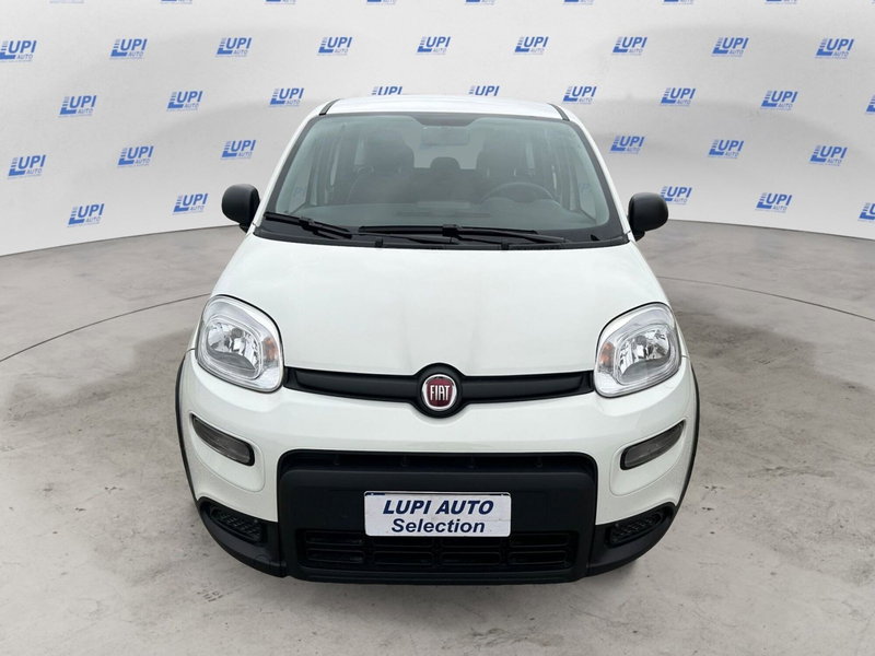 Fiat Panda usata a Pistoia (5)