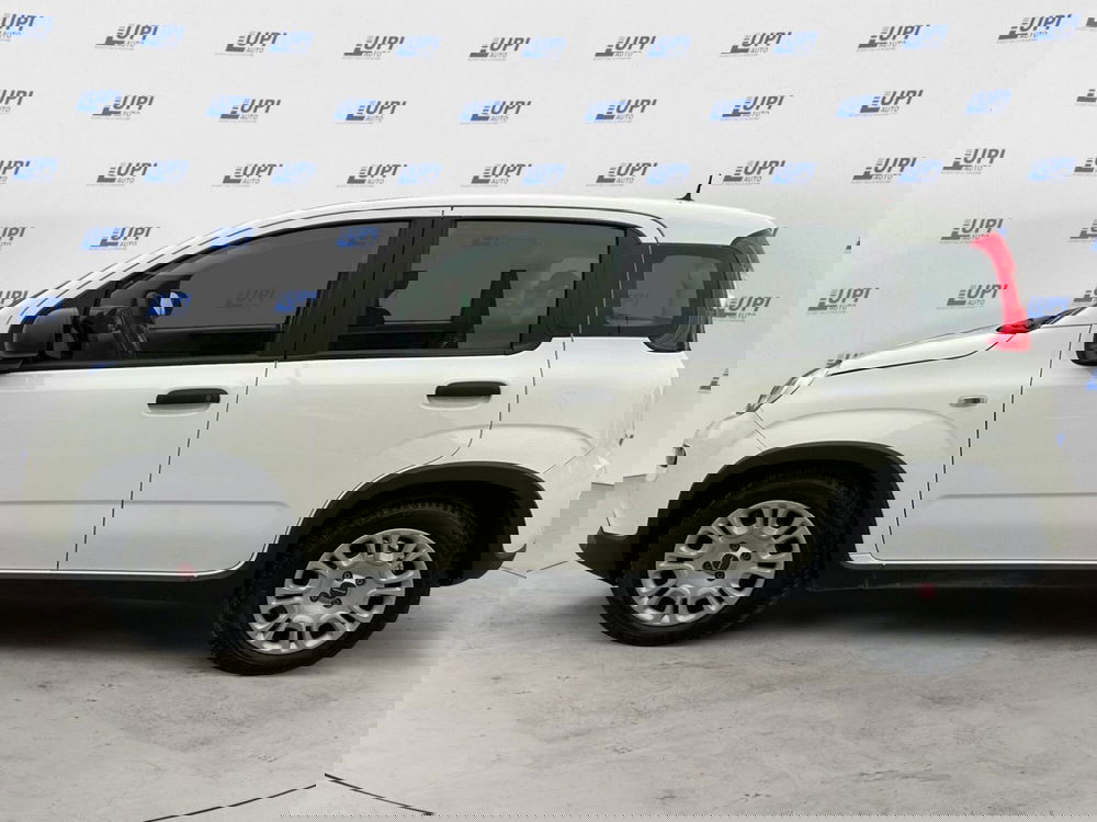 Fiat Panda usata a Pistoia (6)