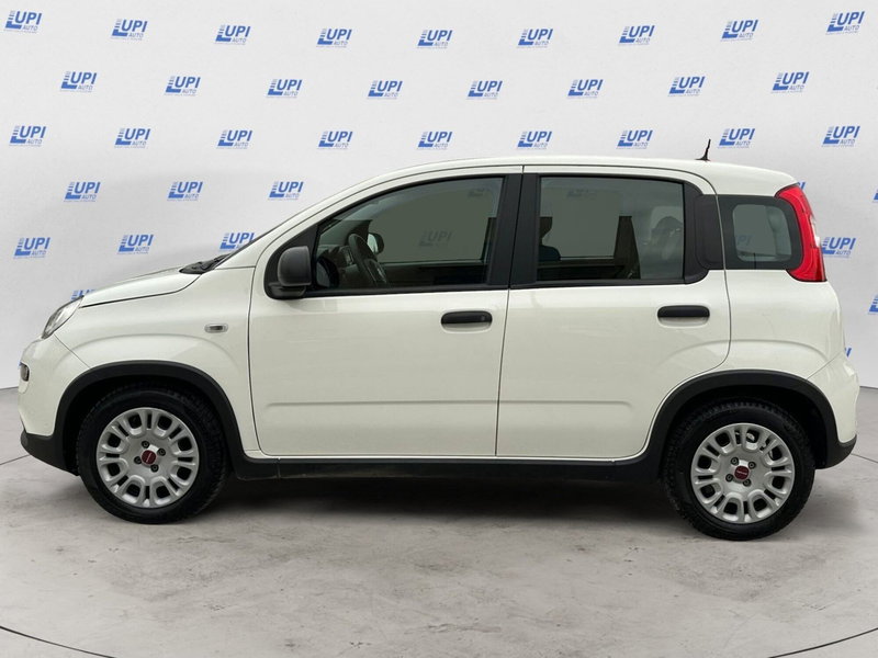 Fiat Panda usata a Pistoia (6)