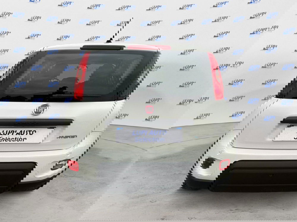 Fiat Panda usata a Pistoia (7)