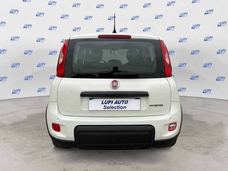Fiat Panda usata a Pistoia (7)