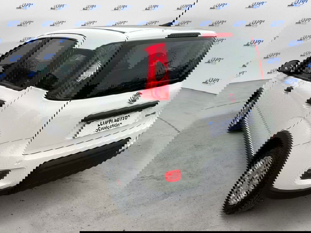 Fiat Panda usata a Pistoia (8)