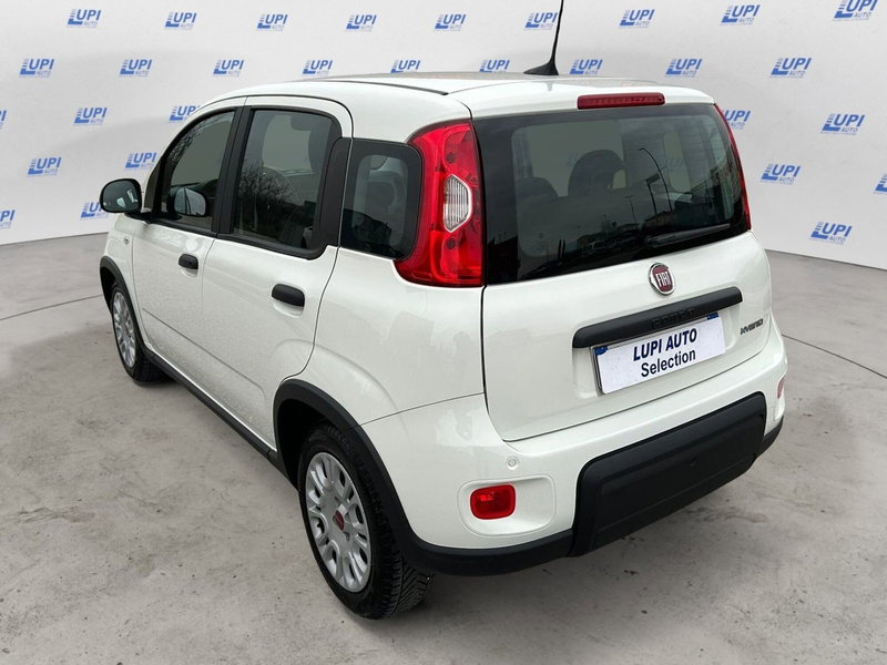 Fiat Panda usata a Pistoia (8)