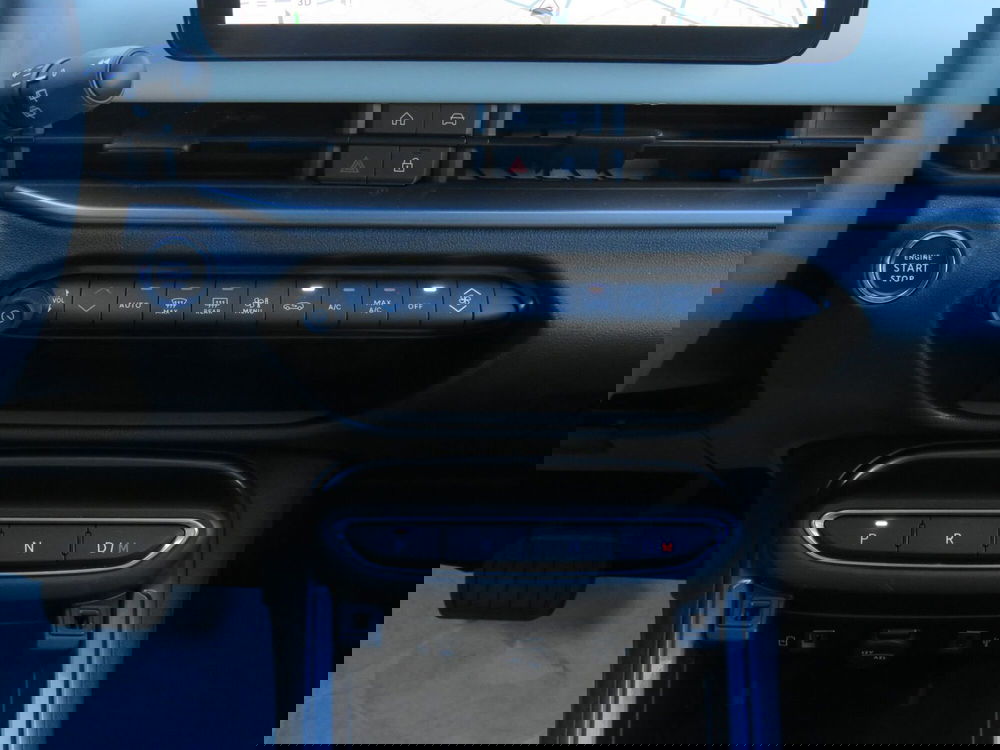 Fiat 600 usata a Monza e Brianza (18)