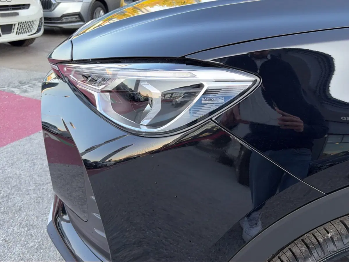 Mg ZS nuova a Campobasso (11)