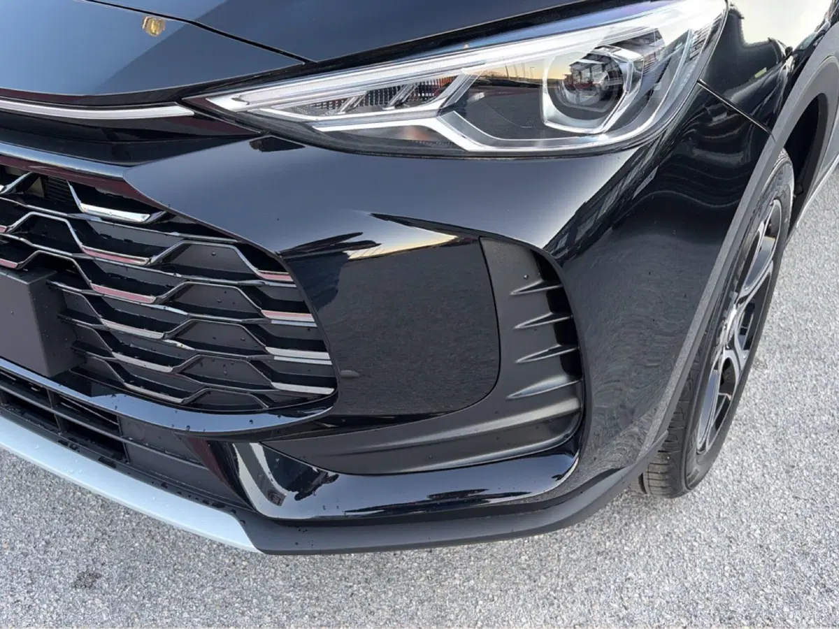 Mg ZS nuova a Campobasso (15)