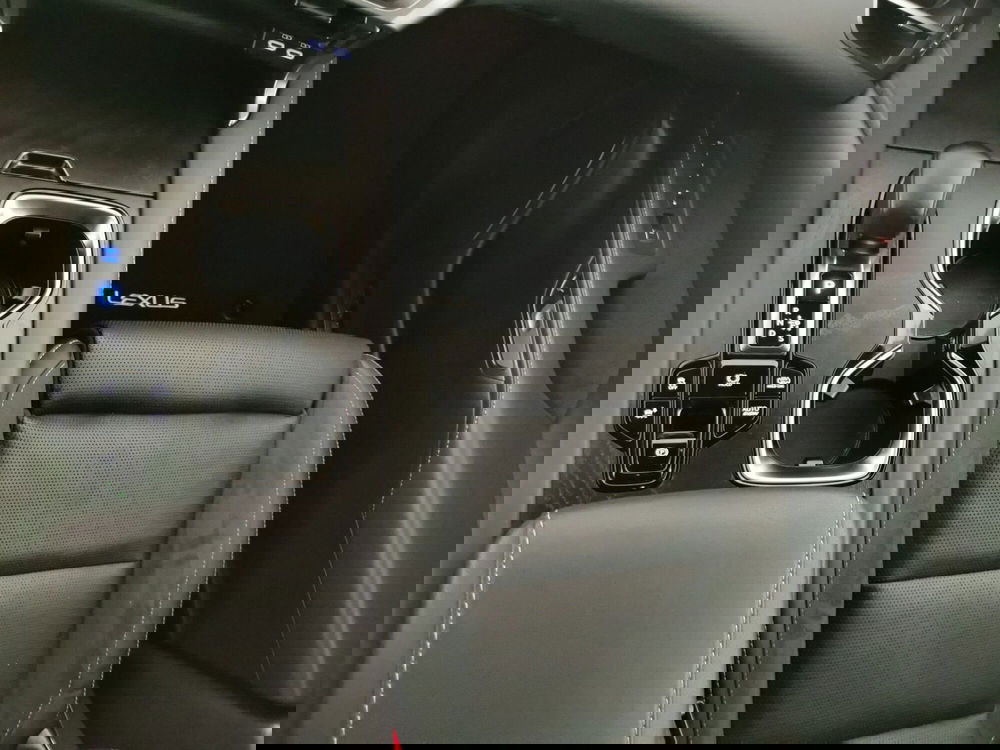 Lexus RX usata a Chieti (18)