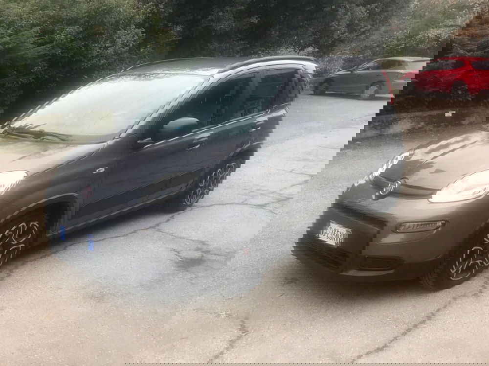 Fiat Panda usata a Bologna