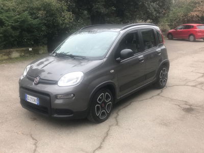Fiat Panda 1.0 FireFly S&amp;S Hybrid City Cross del 2021 usata a Imola