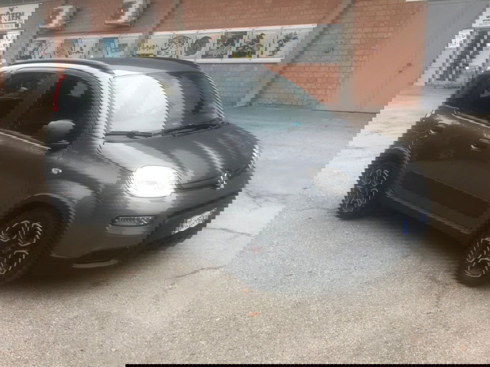 Fiat Panda usata a Bologna (2)