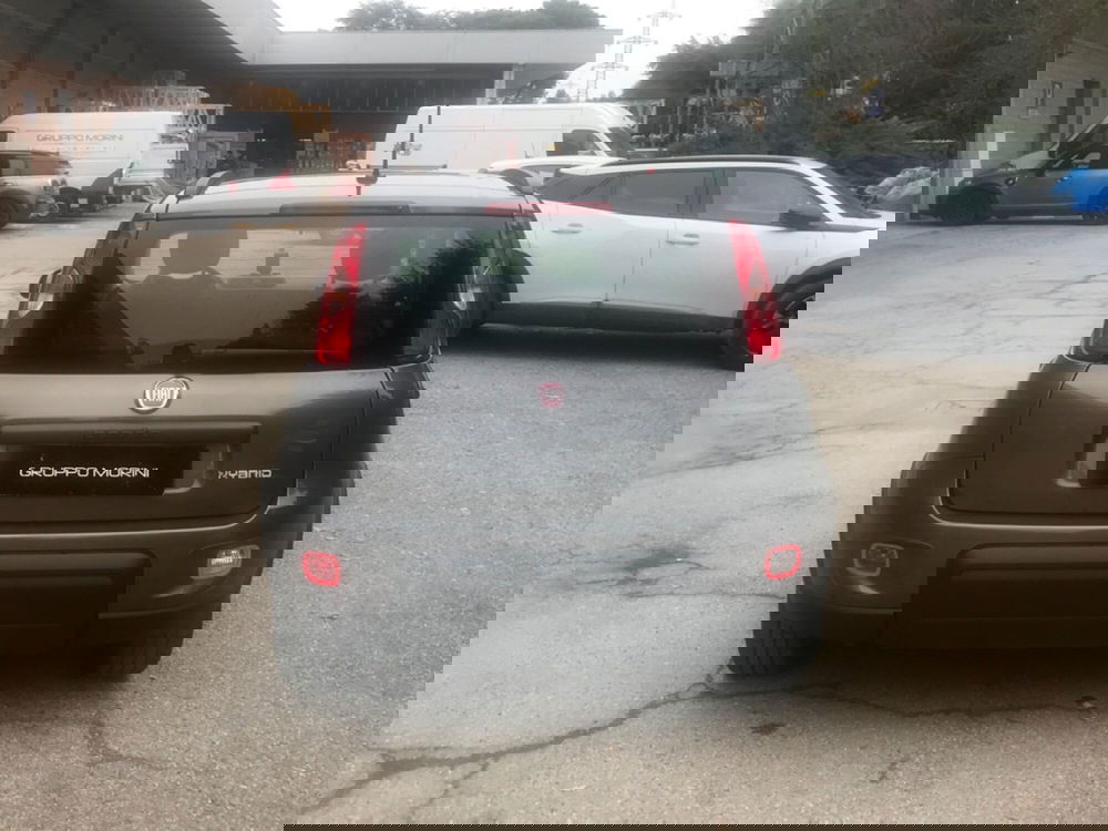 Fiat Panda usata a Bologna (5)