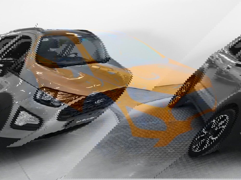 Ford EcoSport usata a Bologna (3)