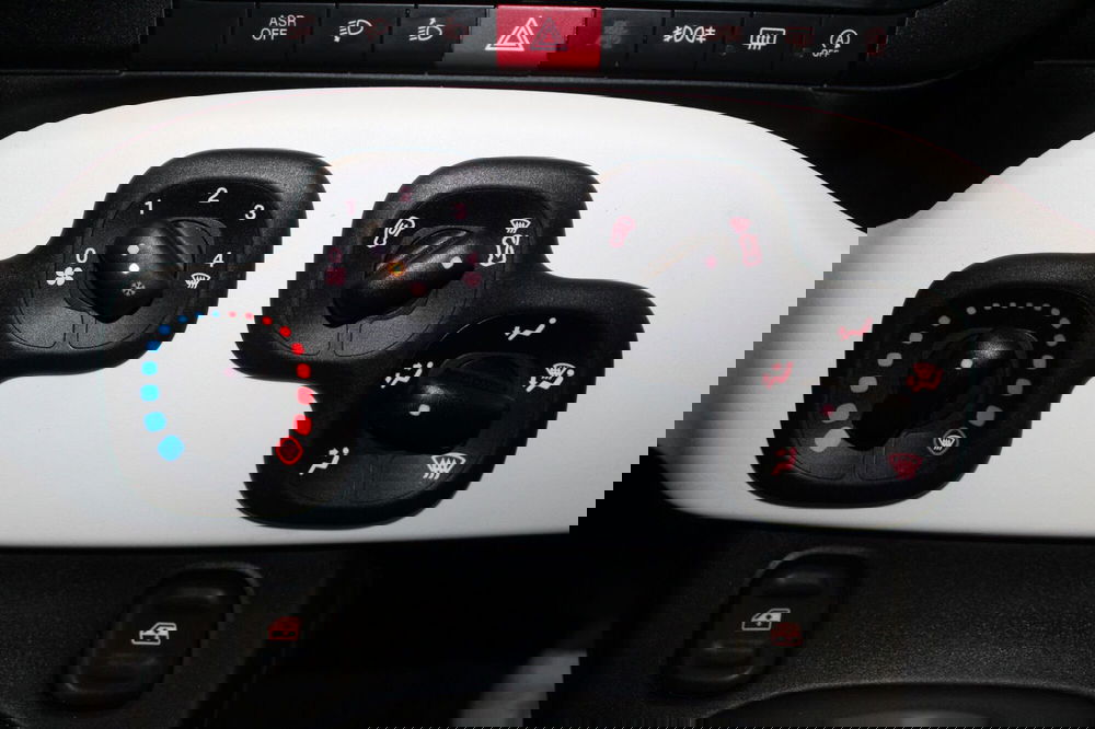 Fiat Panda Cross usata a Cremona (12)