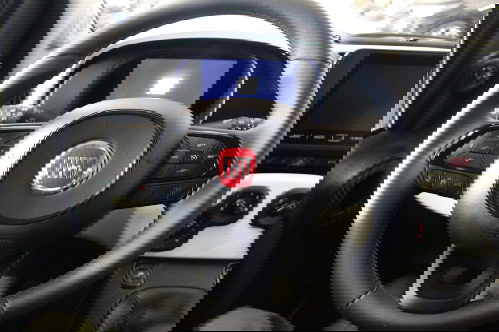 Fiat Panda Cross usata a Cremona (9)