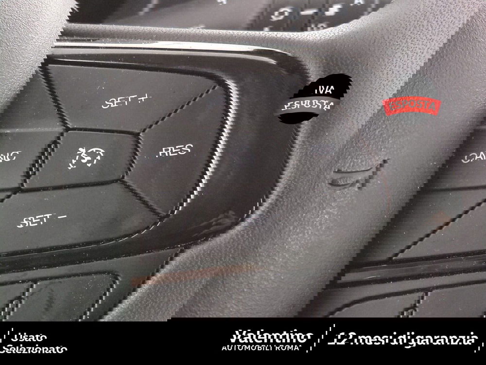 Fiat Panda Cross usata a Roma (14)