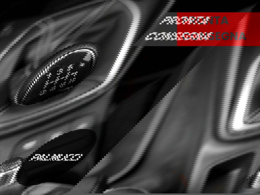 Ford Fiesta usata a Prato (12)