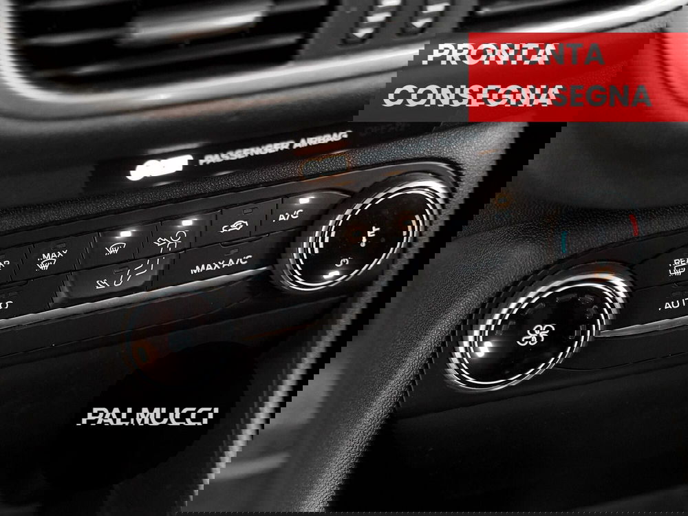 Ford Fiesta usata a Prato (13)