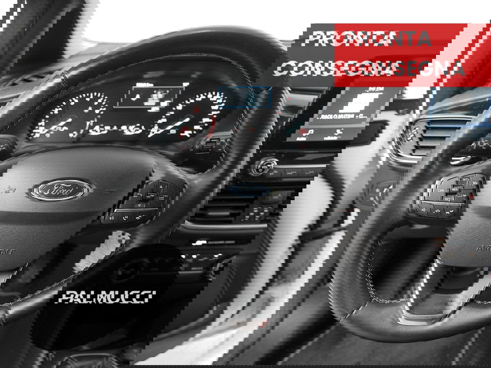 Ford Fiesta usata a Prato (14)