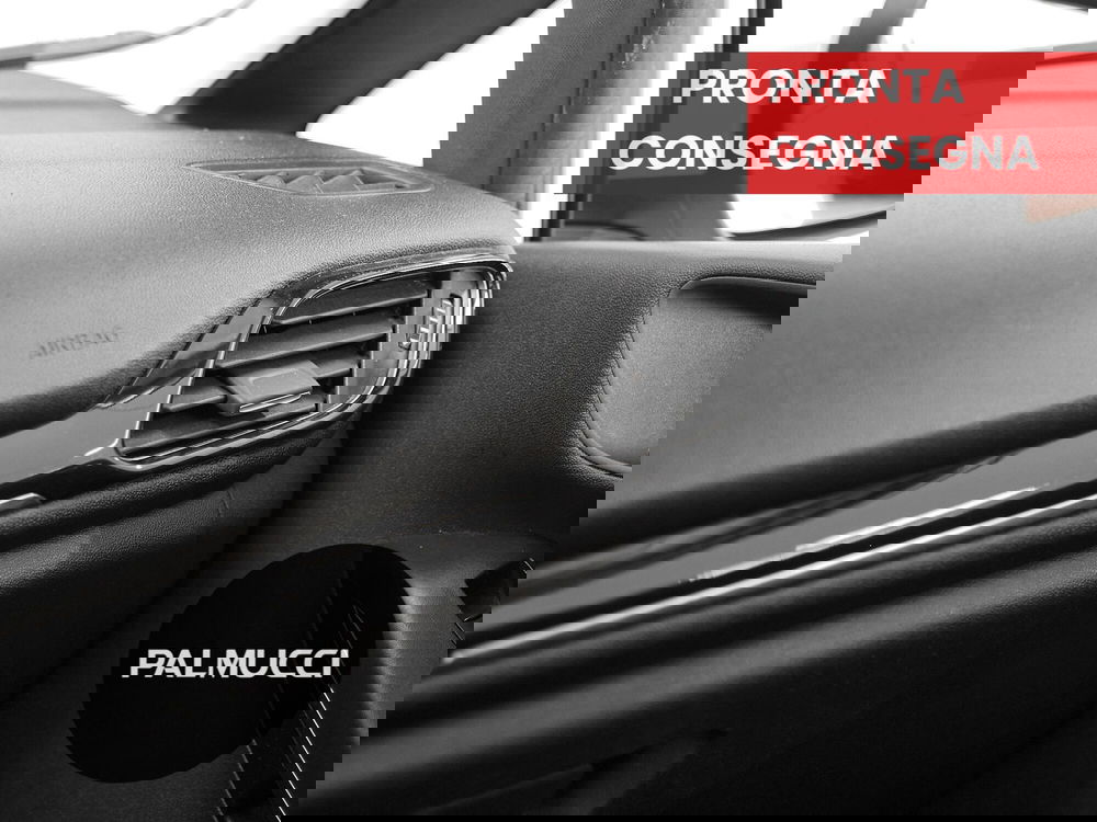 Ford Fiesta usata a Prato (15)