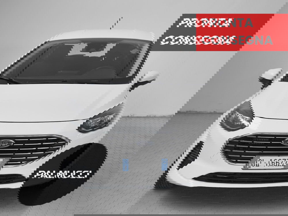 Ford Fiesta usata a Prato (2)