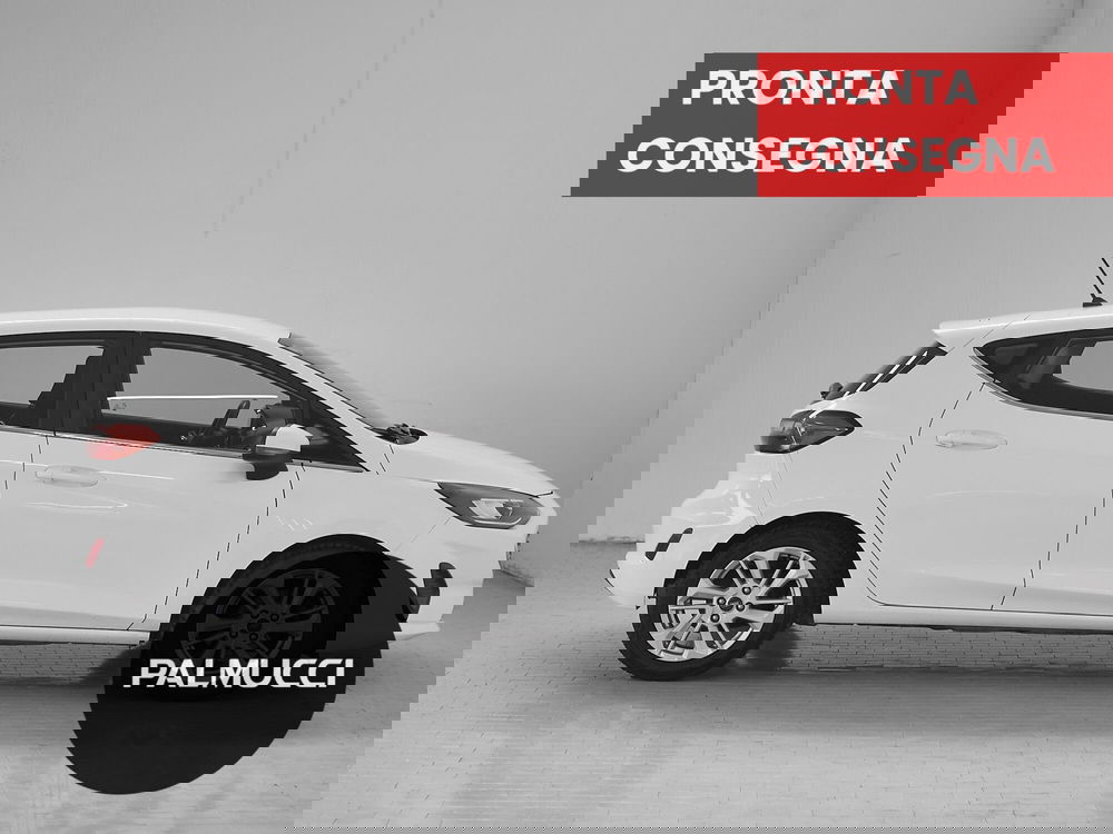 Ford Fiesta usata a Prato (4)