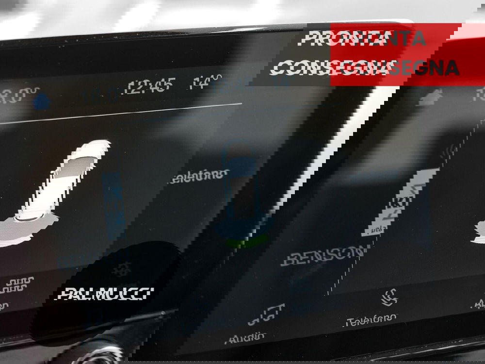 Ford Fiesta usata a Prato (8)