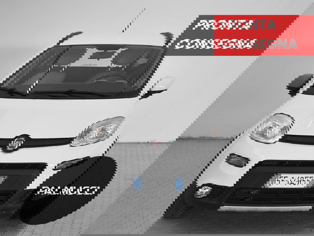 Fiat Panda usata a Prato (2)