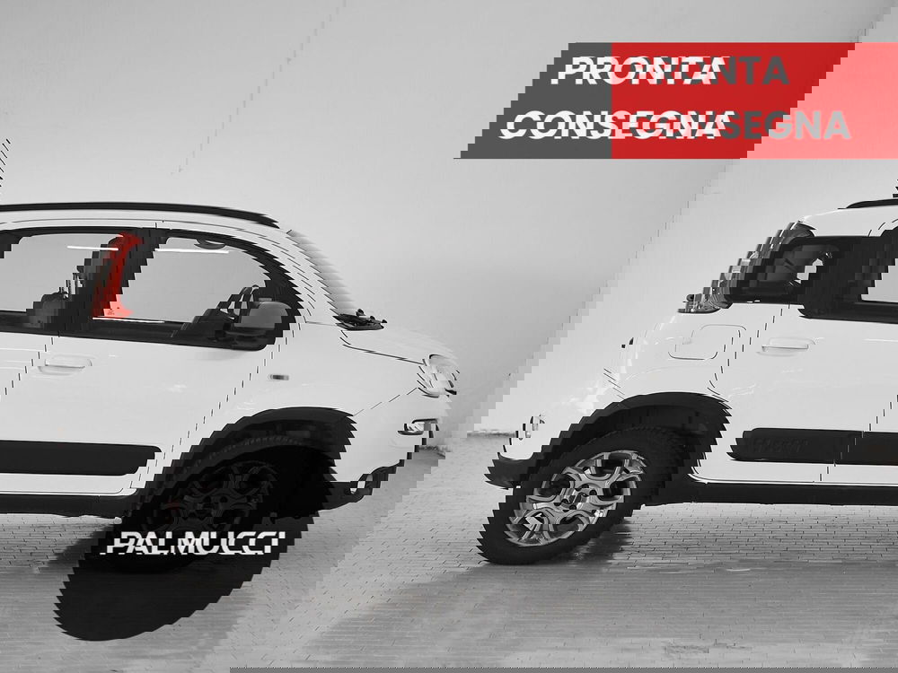 Fiat Panda usata a Prato (4)