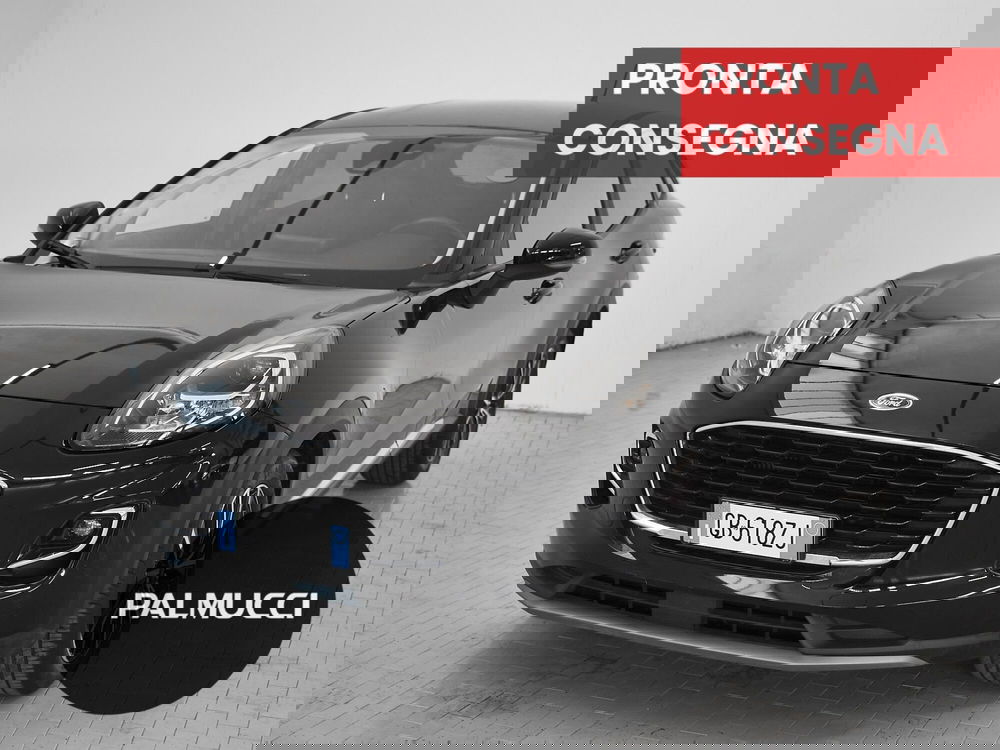 Ford Puma usata a Prato
