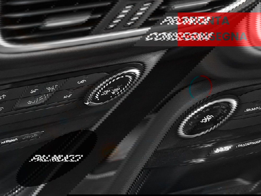 Ford Puma usata a Prato (13)