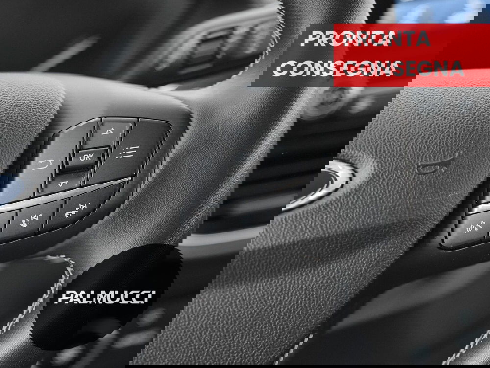 Ford Puma usata a Prato (16)