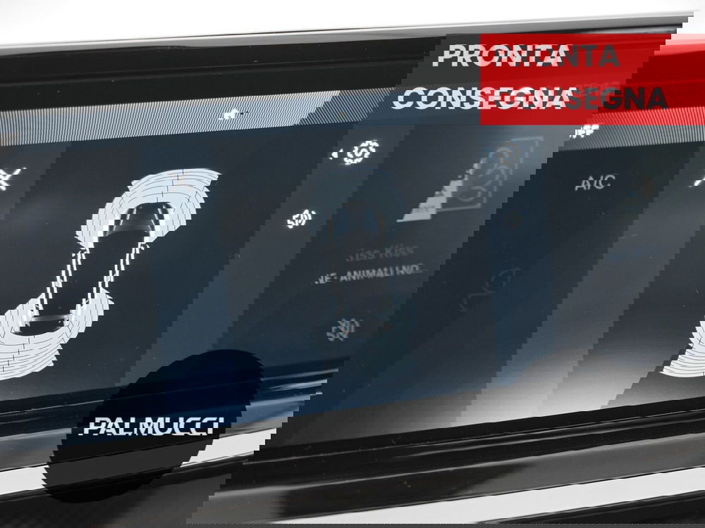 Peugeot 208 usata a Prato (8)