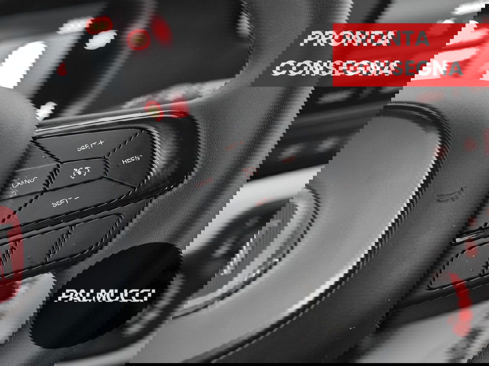 Fiat Panda Cross usata a Prato (12)