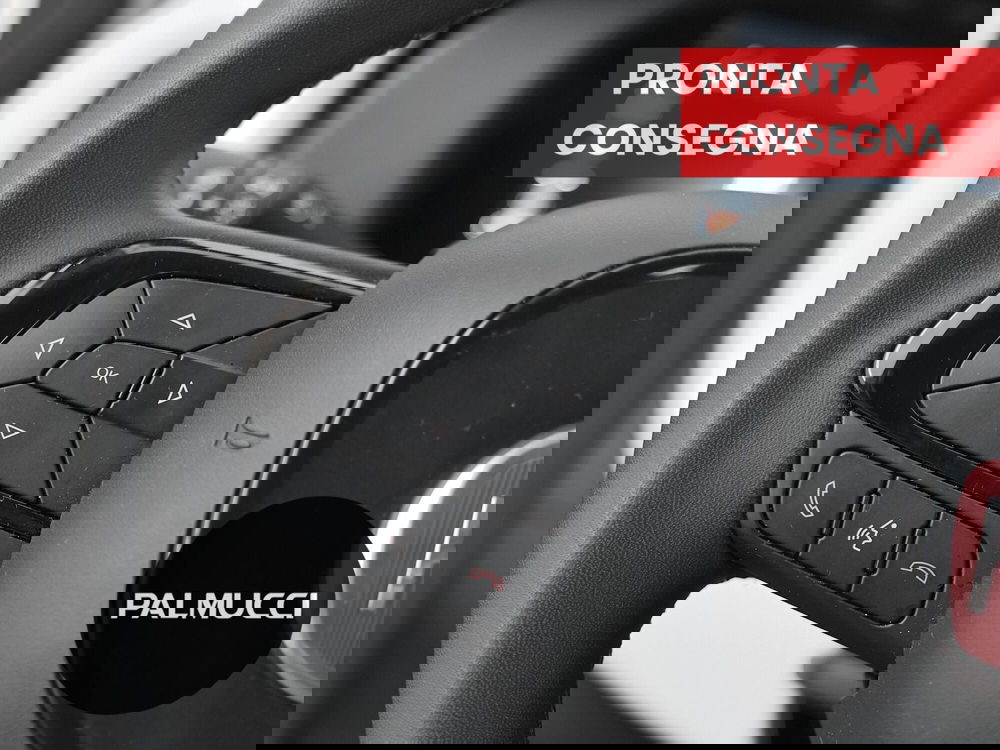 Fiat Panda Cross usata a Prato (15)