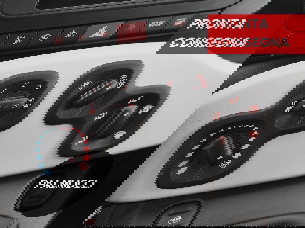 Fiat Panda Cross usata a Prato (17)