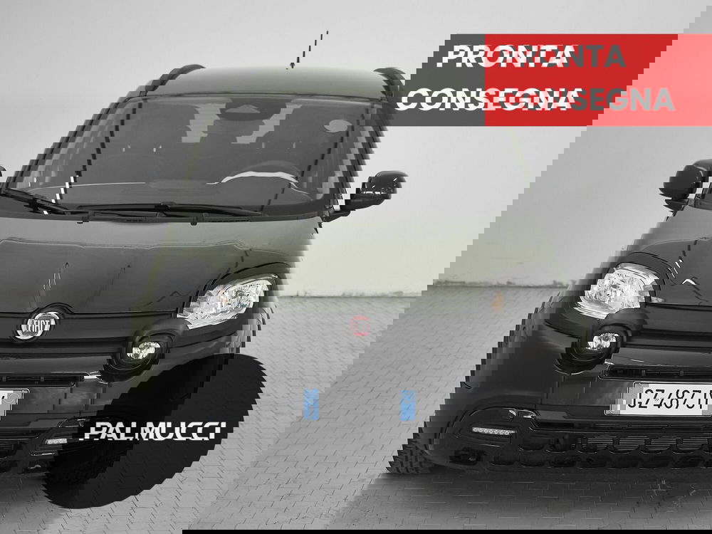 Fiat Panda Cross usata a Prato (2)