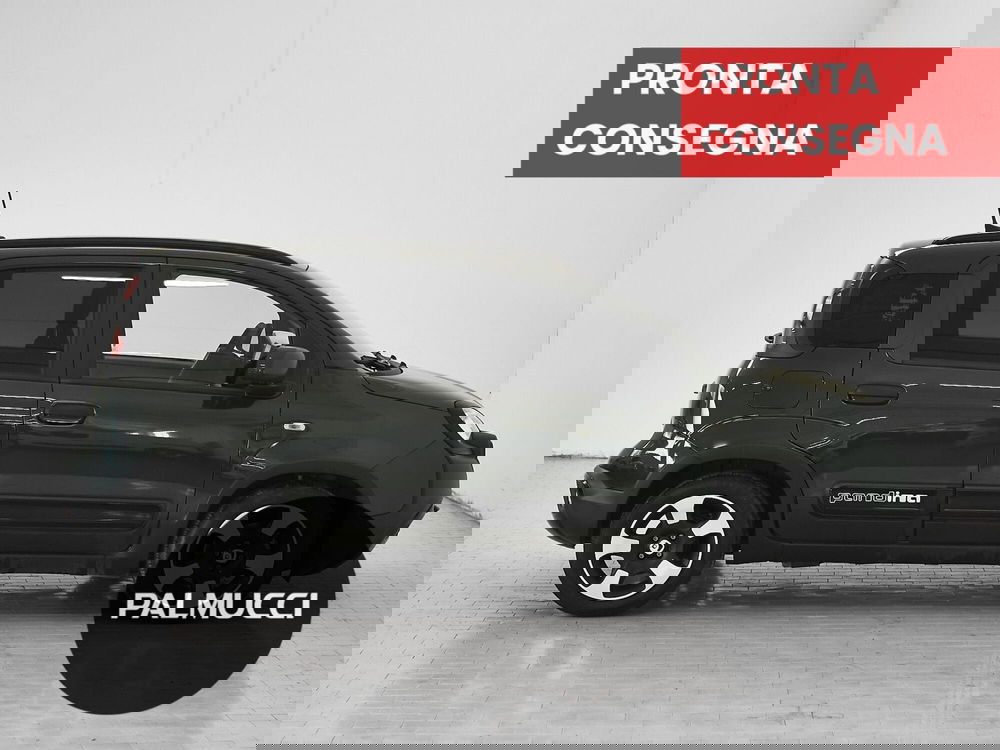 Fiat Panda Cross usata a Prato (5)