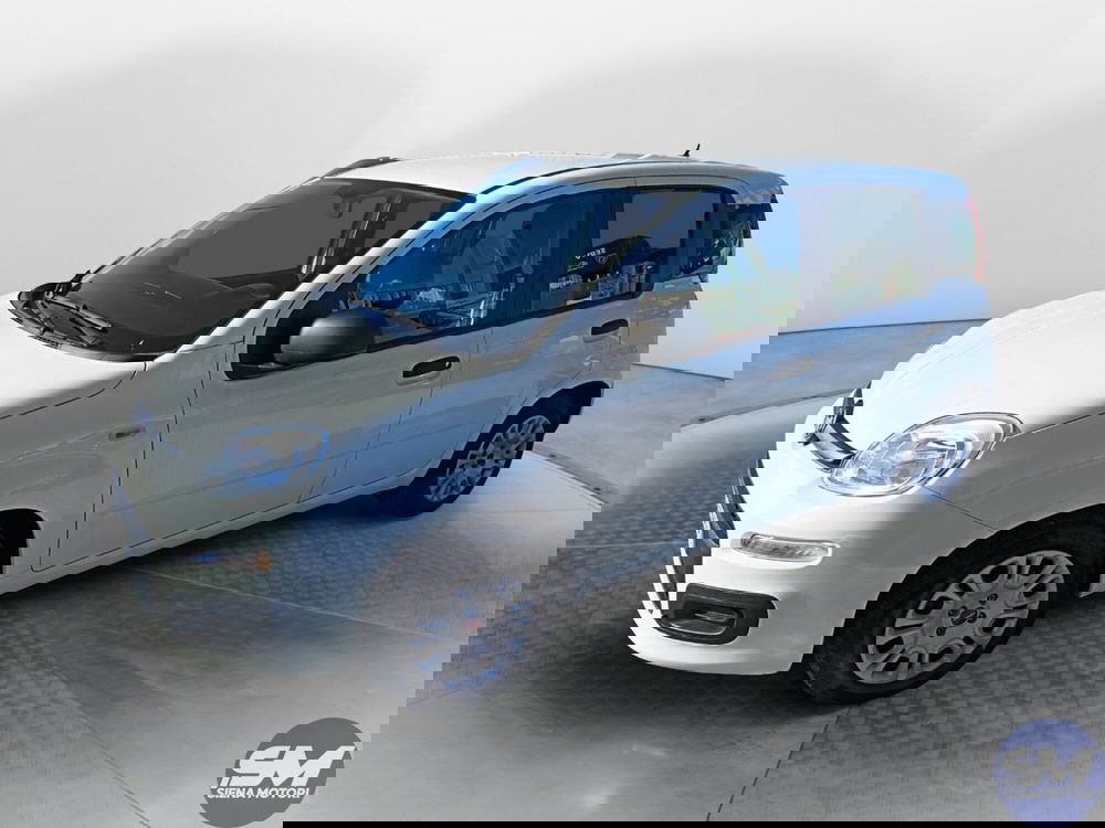 Fiat Panda Cross usata a Siena