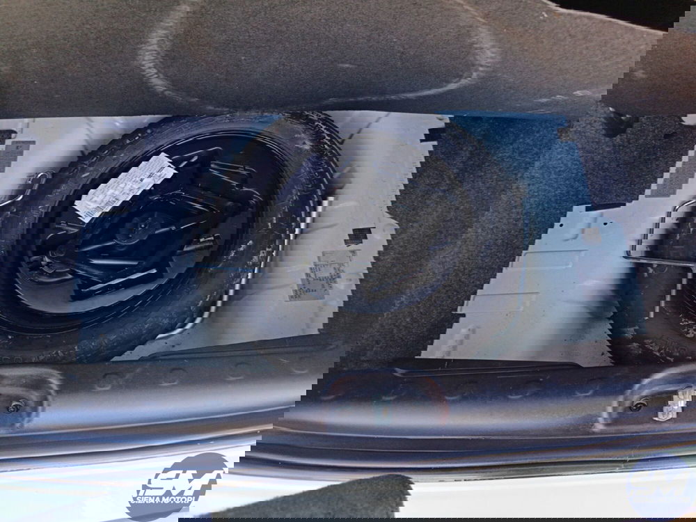 Fiat Panda Cross usata a Siena (18)