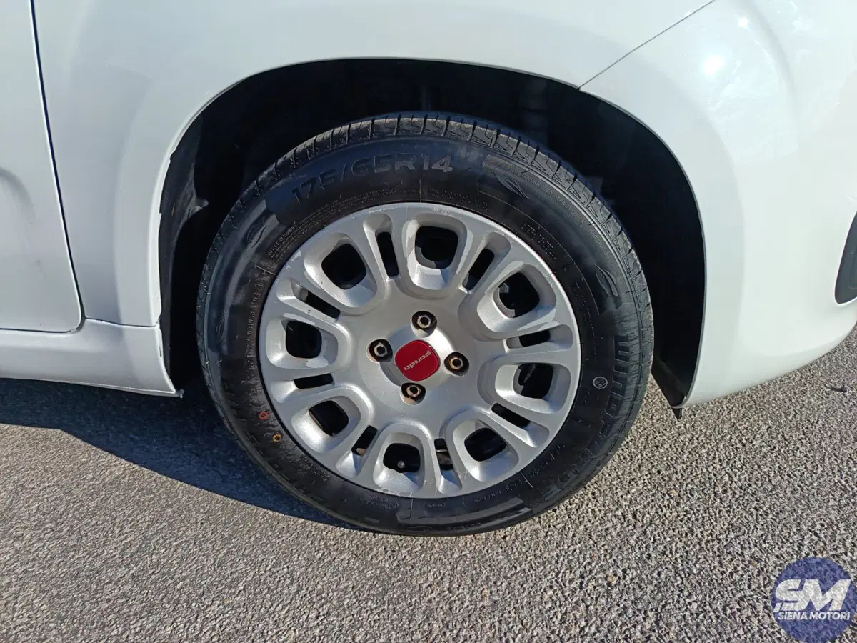 Fiat Panda Cross usata a Siena (19)