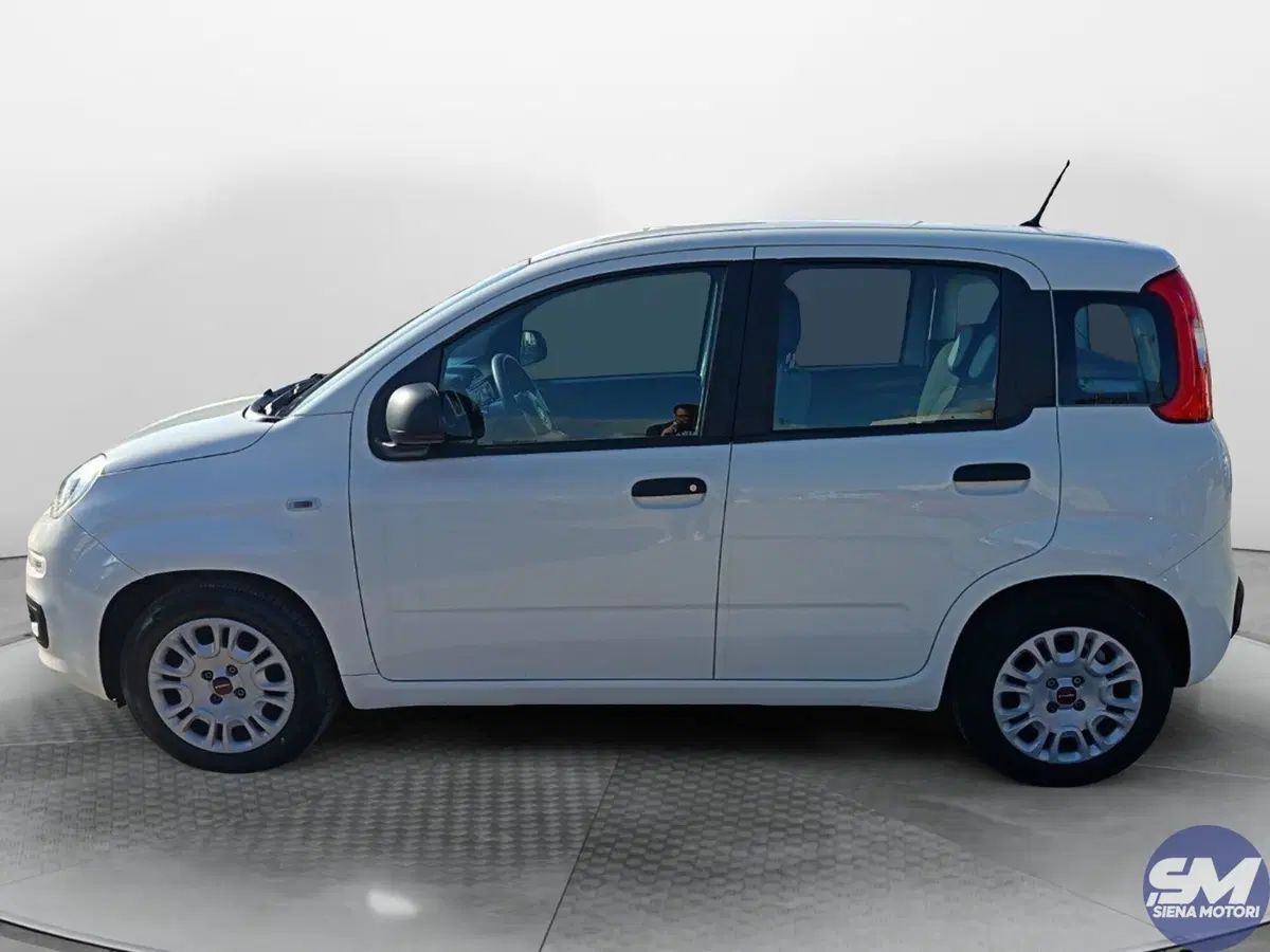 Fiat Panda Cross usata a Siena (2)