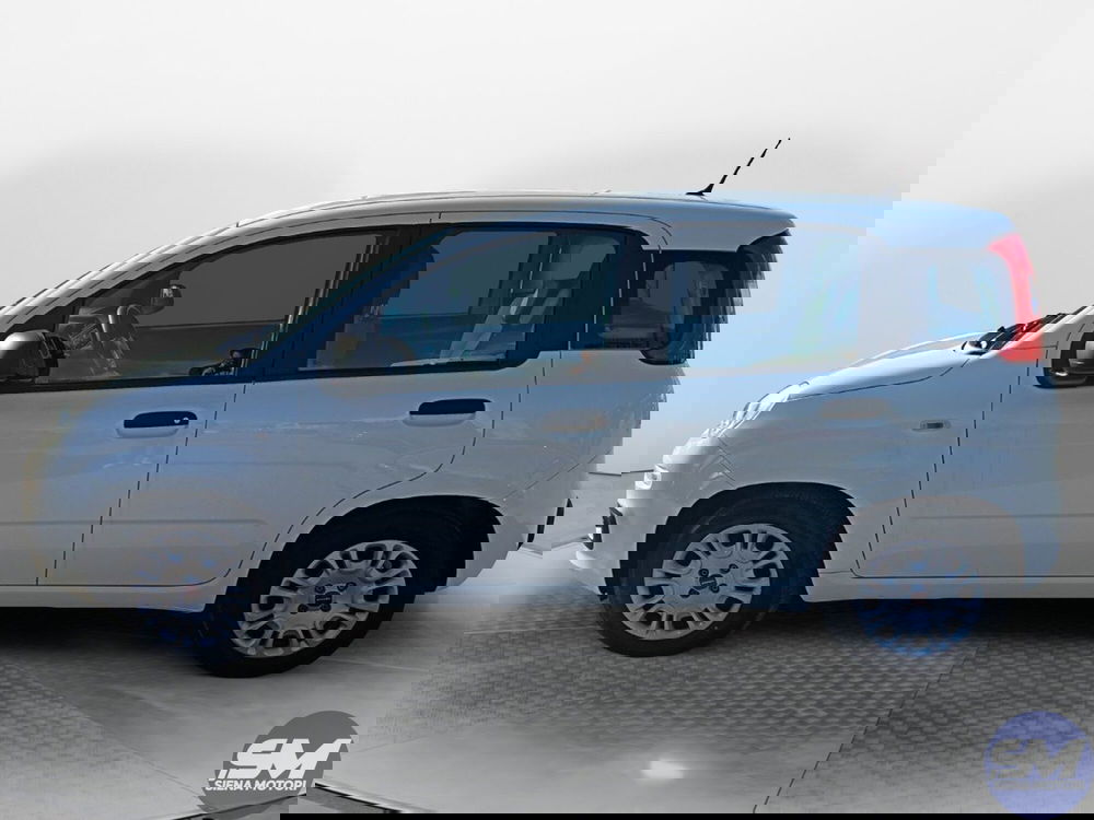 Fiat Panda Cross usata a Siena (2)