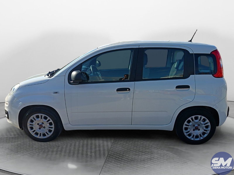Fiat Panda Cross usata a Siena (2)