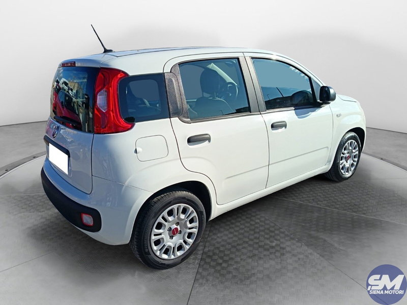 Fiat Panda Cross usata a Siena (5)